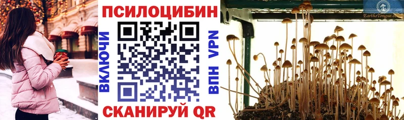 Псилоцибиновые грибы прущие грибы  Алейск 